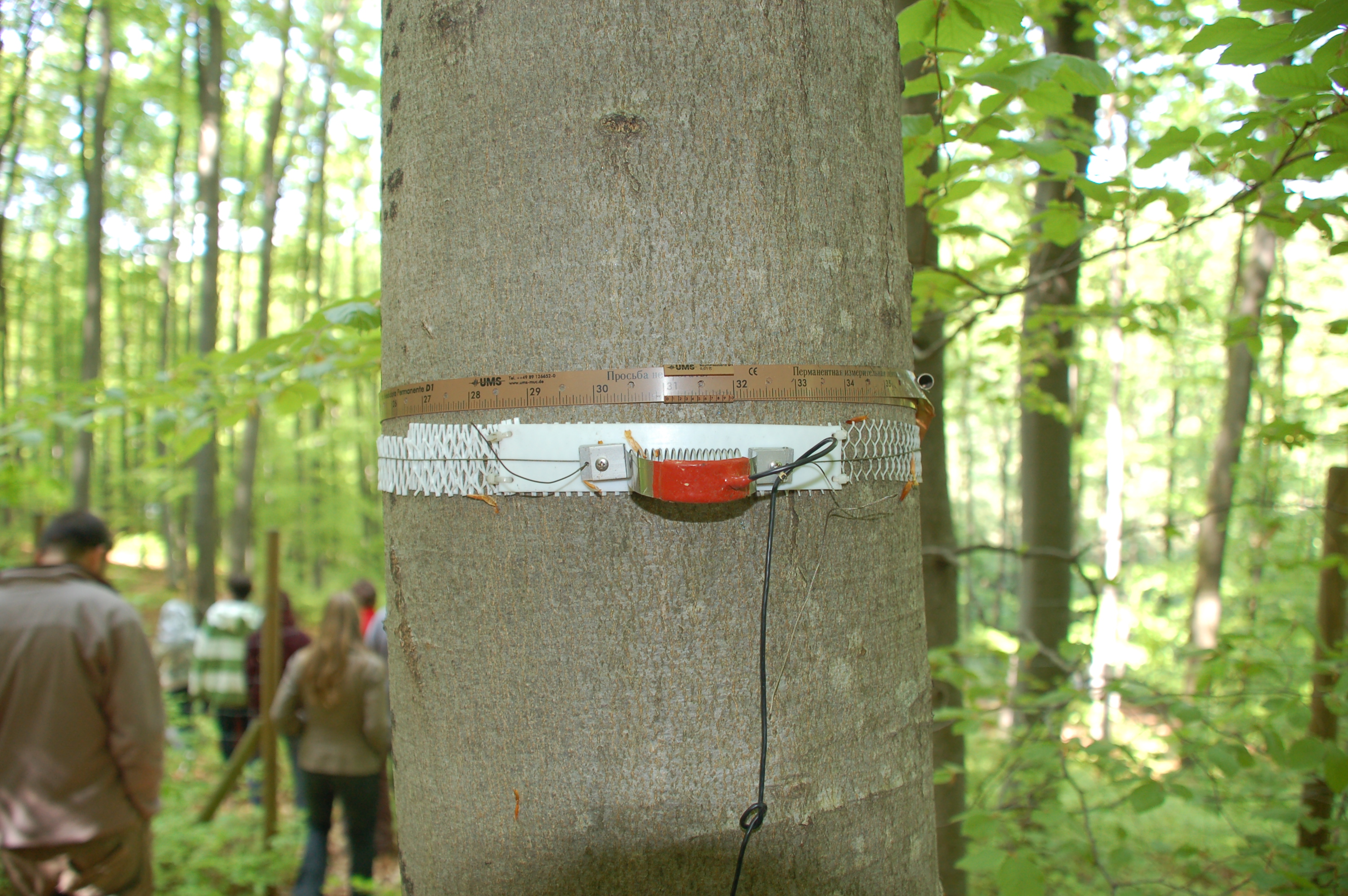 © Bundesforschungszentrum für Wald