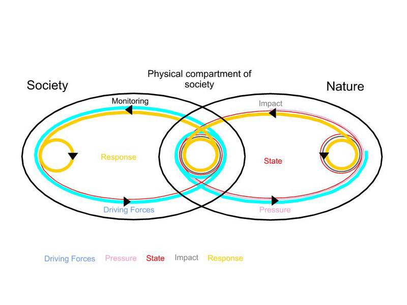 DPSIR Modell (© Institut für Soziale Ökologie)
