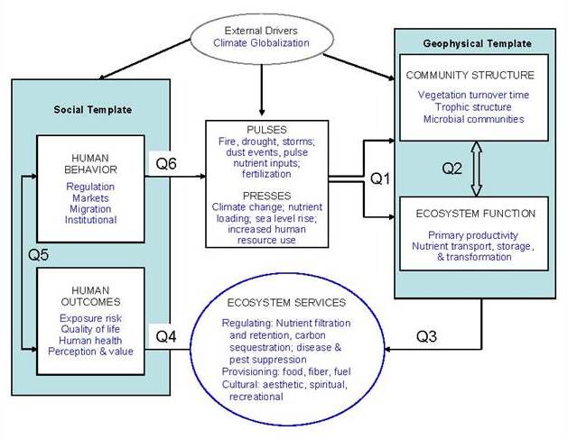 ISSE Modell (© Collins et al. 2007)