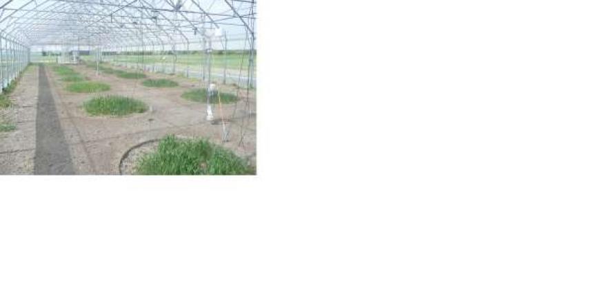 Lysimeter Station AGES